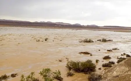 وزير الري يراقب حالة الأمطار والسيول في سيناء خلال الأيام الماضية