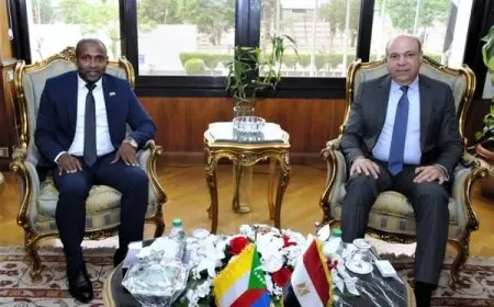 وزير الطيران يناقش مع وزير خارجية جزر القمر سبل التعاون المشترك في مجالات الطيران