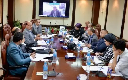 اللجنة الفنية الدائمة لمواجهة الشائعات في المجلس الأعلى للإعلام تعقد أولى جلساتها