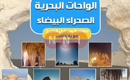 الشباب والرياضة تطلق مغامرة “يلا كامب” في الواحات البحرية والصحراء البيضاء