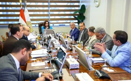 وزيرة التنمية: صندوق التنمية المحلية يعد من أبرز وسائل العمل الأساسية التي نعتمد عليها