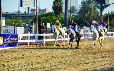 كيفية التعرف على الخيول العربية الأصيلة؟