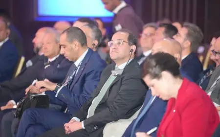 وزير المالية: الاقتصاد المصري يسير بخطى جيدة ويتيح فرص استثمارية كبيرة