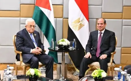 الرئيس السيسي يلتقي الرئيس الفلسطيني خلال احتفالات يوم النصر في موسكو