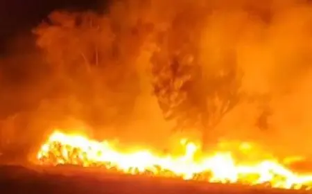 إصابة 17 شخصًا وخسائر تصل إلى 5 ملايين جنيه.. حريق ضخم في الغربية يدمر 1000 فدان