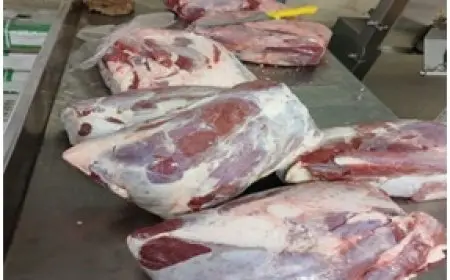 التحالف الوطني للعمل الأهلي يعلن عن تجهيزاته لعيد الأضحى: تقديم دعم إضافي للأسر الأكثر حاجة