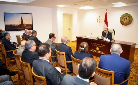 وزير الخارجية يلتقي بقيادات وأعضاء السلك الدبلوماسي والقنصلي