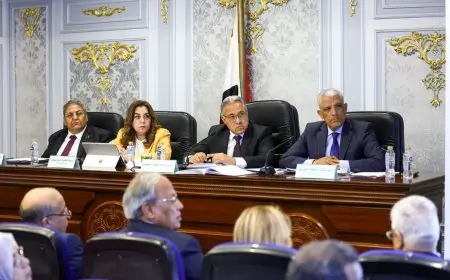 وزيرة التنمية المحلية: نحث القطاع الخاص على الاستثمار في مشروعات البنية التحتية