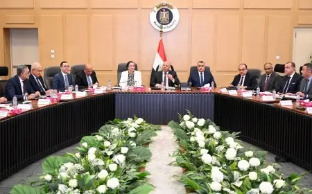 كامل الوزير يترأس الاجتماع الثالث والعشرين للمجموعة الوزارية للتنمية الصناعية ويؤكد على ضرورة حماية الموارد البيئية