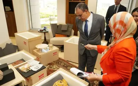 وزير الخارجية: مصر تتسلم 25 قطعة أثرية من نيويورك