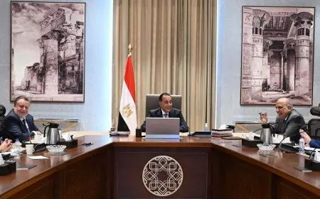 مدبولي يستعرض خطة تأمين الإمدادات البترولية لتشغيل محطات الكهرباء استعدادًا لصيف 2024