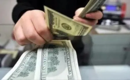 تحويلات المصريين في الخارج تحقق ارتفاعاً تاريخياً.. ما السبب وراء ذلك في شهر فبراير؟