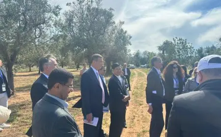 وزير الزراعة يزور حقول الزيتون الإيطالية المتضررة من بكتيريا الزيليلا