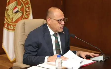 وزير العمل: صندوق دعم الطوارئ للعمال صرف 82 مليون جنيه لـ 10.6 ألف عامل
