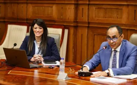 المشاط: 28 مليار جنيه لاستثمارات التنمية المحلية في خطة العام المالي القادم