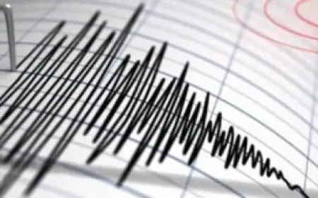 الأبحاث الفلكية: عدم تسجيل أي خسائر في الأرواح أو الممتلكات جراء الزلزال