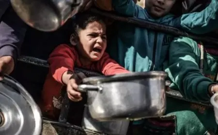 صورة تروي مأساة شعب.. القاهرة تحتضن ألم غزة بعدسة مصوريها