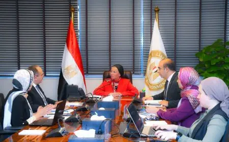 وزيرة البيئة: لدينا خطة شاملة لإعادة تدوير جميع أنواع المخلفات