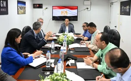 رئيس الوزراء يلتقي بالمدير التنفيذي لشركة «أنجلو جولد أشانتي»