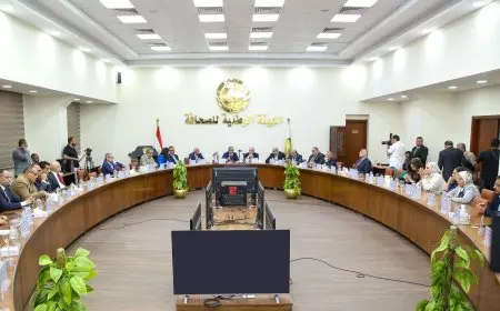 وزير قطاع الأعمال: اصلاح شامل ومنهجي لشركات الدولة لتحقيق الاستدامة وزيادة العائد على الأصول