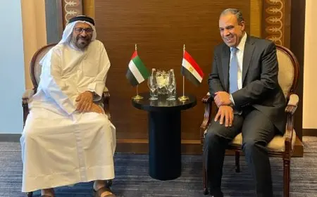 وزير الخارجية يجتمع مع وزير الدولة الإماراتي