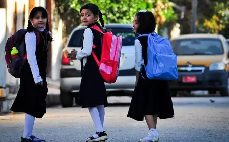 رفع سن التقديم لوظيفة معلم مساعد بالحصة إلى 45 عامًا.. الشروط وتاريخ الإعلان