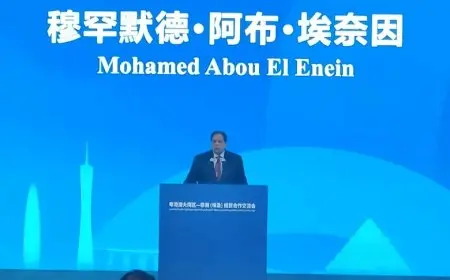أبو العينين يقدم فرص الاستثمار في مصر لرجال الأعمال الصينيين