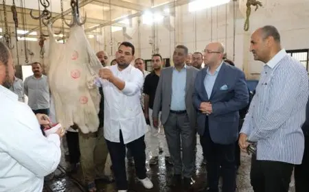 محافظ بني سويف يزور مجزر ناصر استعداداً لاستقبال عيد الأضحى المبارك
