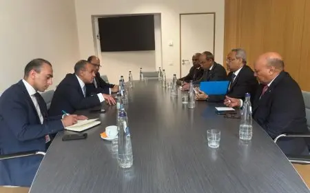 اجتماعات مجلس الأعمال المصري – الجيبوتي تهدف إلى تعزيز التجارة الثنائية