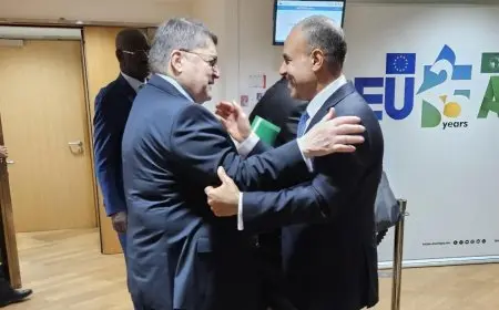 وزير الخارجية يلتقي بقادة أوروبيين وإفريقيين في بروكسل في لقاءات هامة