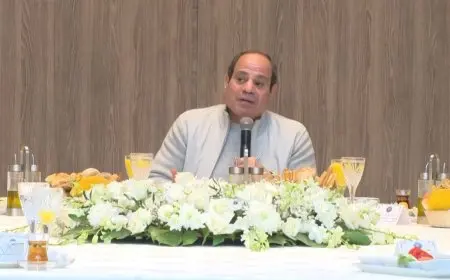 الرئيس السيسي يبرز أهمية تحسين بيئة الاستثمار وإزالة العوائق أمام المستثمرين