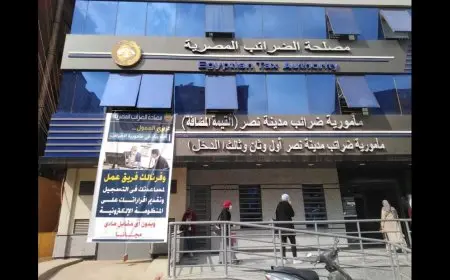 هل تم تعديل نسبة الضرائب على بعض الفئات؟ رئيس المصلحة يشرح
