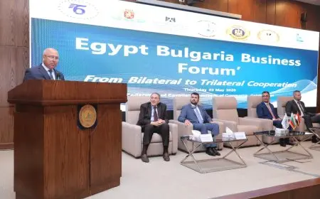 الوزير كامل يعلن عن تراخيص جديدة لإنتاج البليت وخطة دعم لتعزيز صناعة الحديد الوطنية