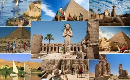 بطاقة إلكترونية بسعر 200 جنيه سنويًا تمنح الطلاب خصم 50% على الأنشطة الثقافية والفنية