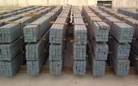 اتحاد الصناعات: رخص البليت الجديدة ستشكل نقطة انطلاق قوية لدعم مصانع الدرفلة