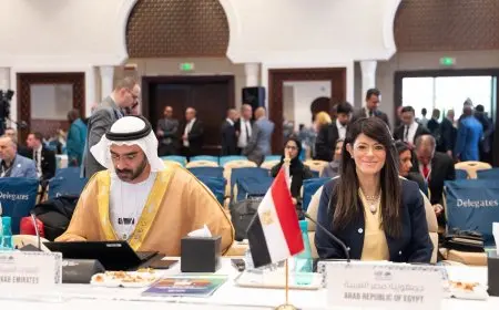 المشاط: الدول ذات الدخل المتوسط تواجه تحديات معقدة أبرزها نقص الموارد المالية