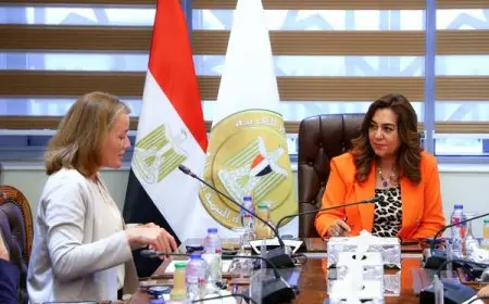 وزيرة التنمية المحلية تستعرض سير العمل في مشروعات تنمية الصعيد بالتعاون مع البنك الدولي