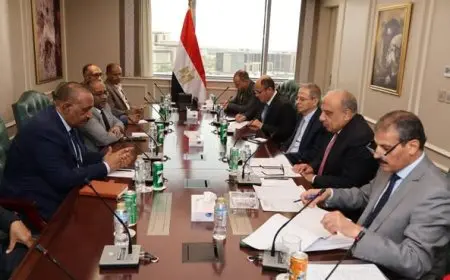 وزير الكهرباء يبحث سبل التعاون مع وزير النفط والطاقة السوداني