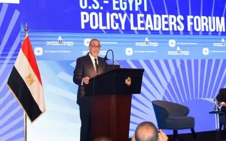 وزير الخارجية يعلن استعداد الحكومة المصرية للتعاون مع الشركات الأمريكية