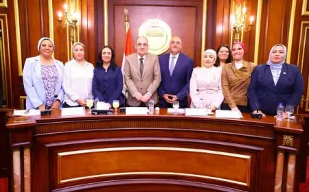 وزيرة التضامن: 4.7 مليون أسرة تستفيد حاليا من برنامج الدعم النقدي المشروط