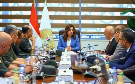 وزيرة التنمية المحلية تتابع سير تنفيذ ملفات التصالح على مخالفات البناء وتراخيص البناء في المحافظات
