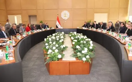 وزير الكهرباء يلتقي وزير التجارة الخارجية والتعاون الإنمائي الدولي في السويد لاستكشاف سبل تعزيز الشراكة