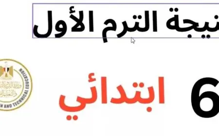 نتيجة الصف السادس الابتدائي الترم الثاني 2025 محافظة جنوب سيناء برقم الجلوس والاسم