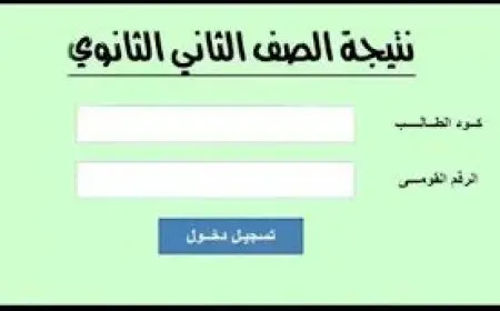 نتيجة الصف الثاني الثانوي 2025 الترم الثاني بالجيزة.. موعد الإعلان ورابط الاستعلام برقم الجلوس