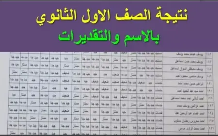 نتيجة الصف الأول الثانوي الترم الثاني 2025 محافظة الوادي الجديد.. موعد الإعلان وطريقة الاستعلام برقم الجلوس والاسم