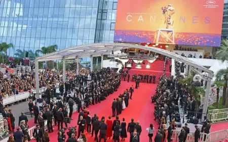 شيرين فرغل تروي كواليس الجناح المصري الفائز في مهرجان كان