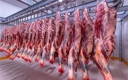 شعبة القصابين تُعلن عن أسعار اللحوم في الأسواق قبيل عيد الأضحى