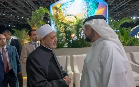 شيخ الأزهر ورئيس مجلس حكماء المسلمين يتباحثان حول طرق تمكين الشباب من صنع السلام