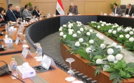 وزير الكهرباء يُسلّم شهادات تأهيل لأربعة مشروعات في مجال إنتاج الطاقة المتجددة