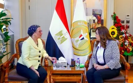 وزيرتا التنمية المحلية والبيئة تتابعان أداء منظومة إدارة المخلفات الصلبة في المحافظات